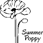 cropped summerpoppy2.png